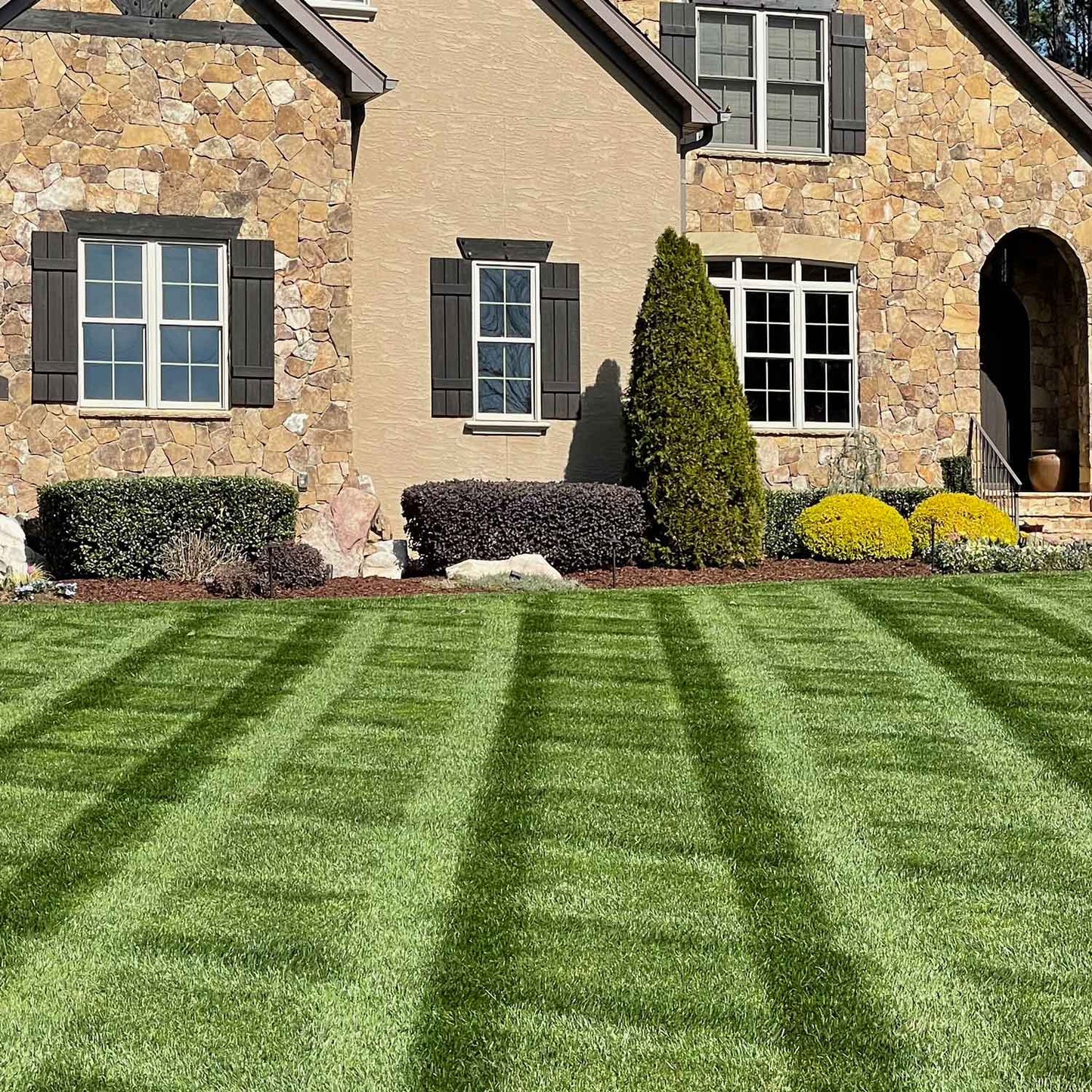 Almighty 20-0-10 Lawn Fertilizer