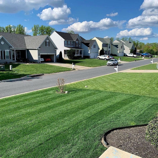 Ammonium Sulfate 21-0-0 Granular Fertilizer