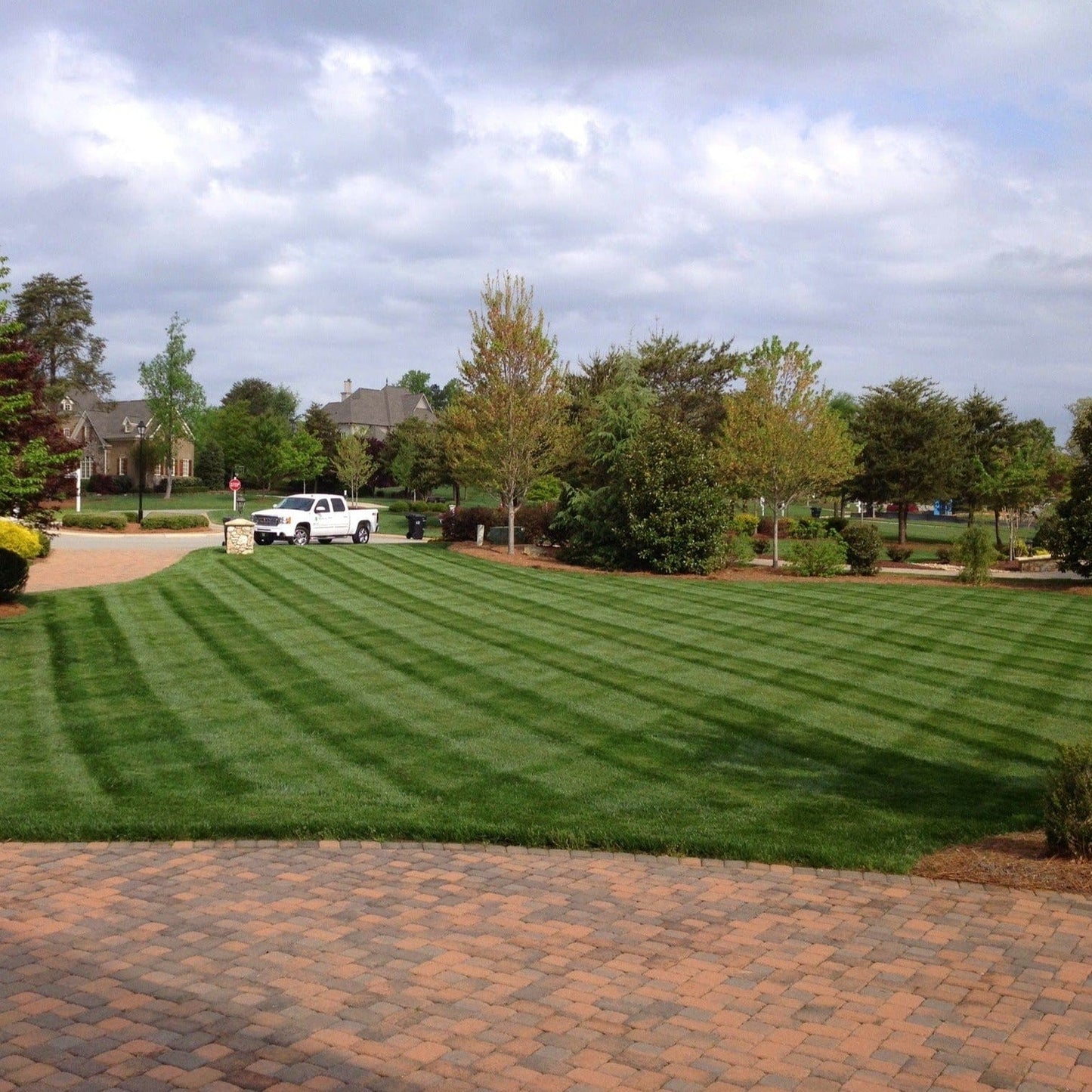 Almighty 20-0-10 Lawn Fertilizer