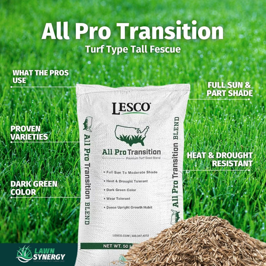 Lesco All Pro Transition Tall Fescue Grass Seed