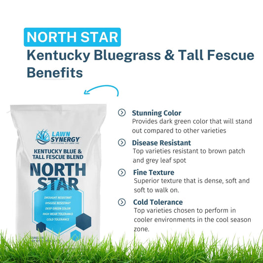 North Star Grass Seed | Premium Kentucky Bluegrass & Tall Fescue Blend
