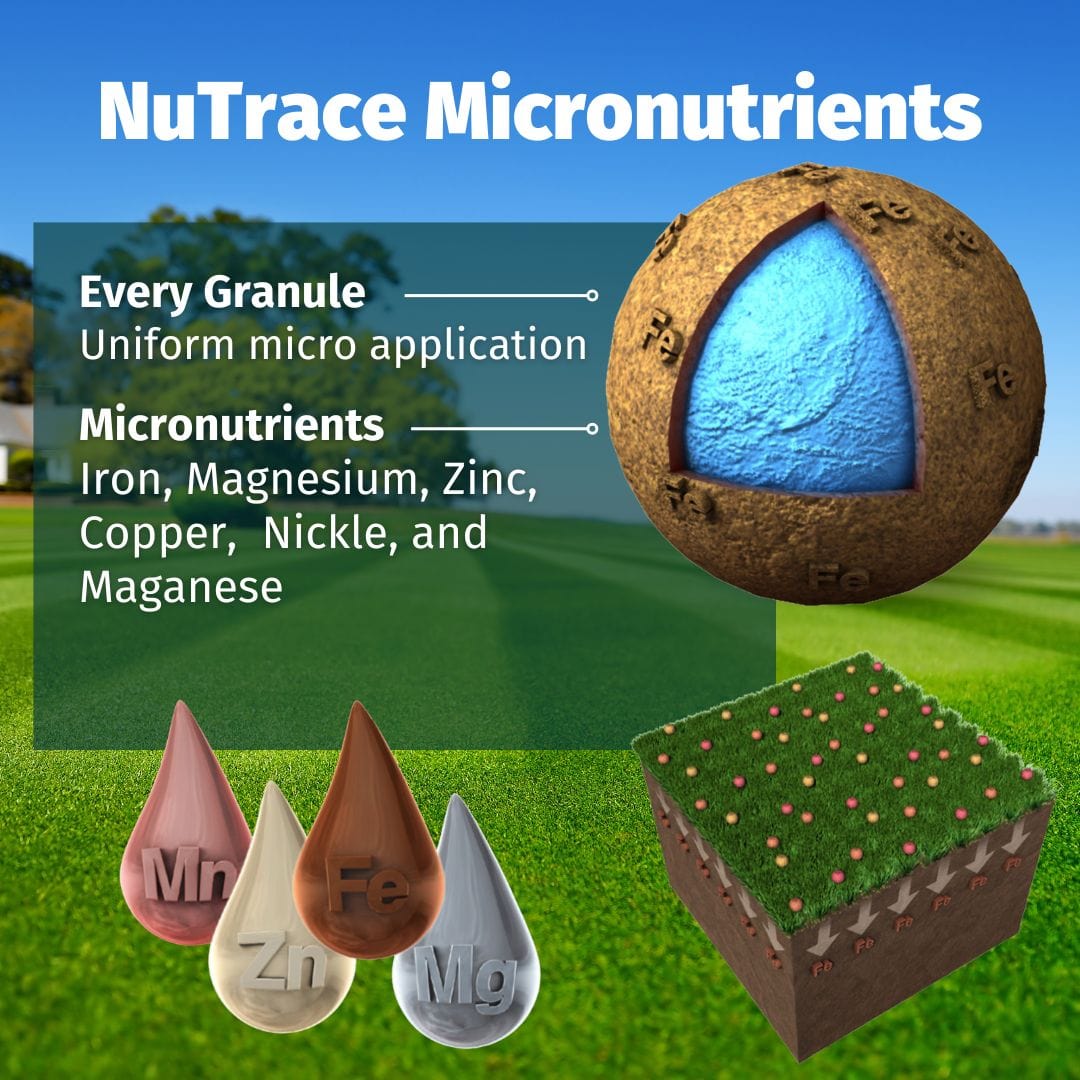 Almighty 20-0-10 Lawn Fertilizer