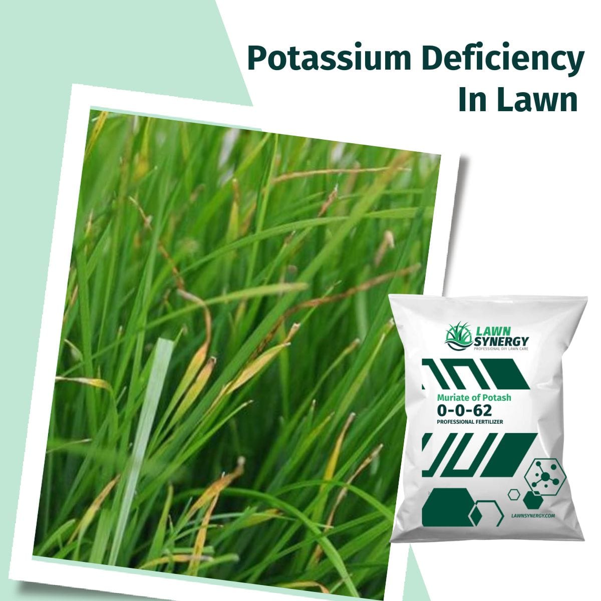 0-0-62 MOP Potassium Fertilizer