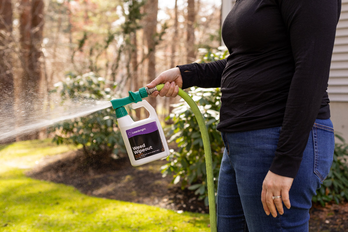 Weed Wipeout Pre-Emergent Weed Control