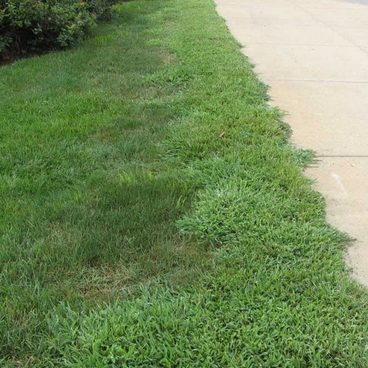 LESCO 0-0-7 Pre-Emergent Fertilizer Stonewall 0.37% - 50 lb.