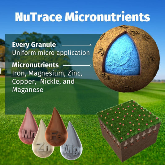 Almighty 20-0-10 Lawn Fertilizer