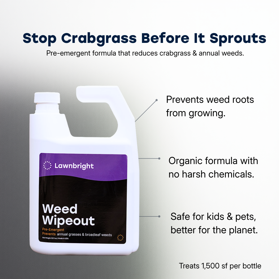 Weed Wipeout Pre-Emergent Weed Control